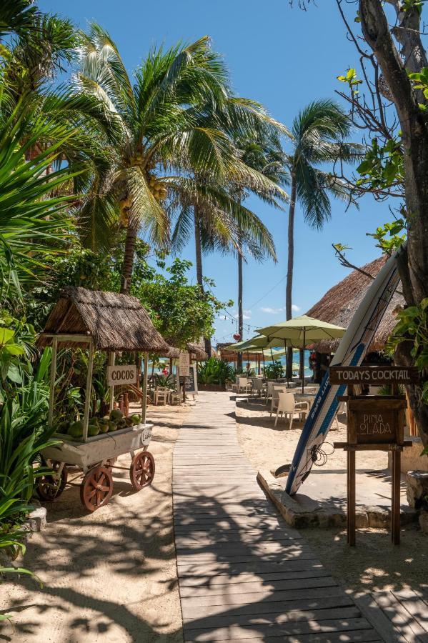 Hotel Casa Colibri Плая дел Кармен Екстериор снимка