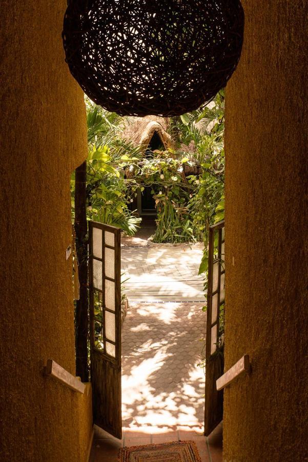 Hotel Casa Colibri Плая дел Кармен Екстериор снимка