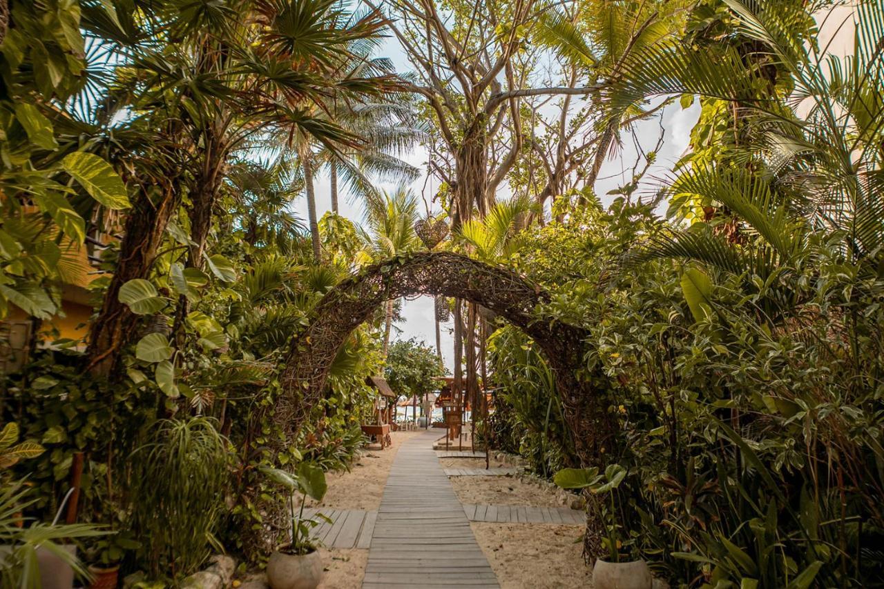 Hotel Casa Colibri Плая дел Кармен Екстериор снимка