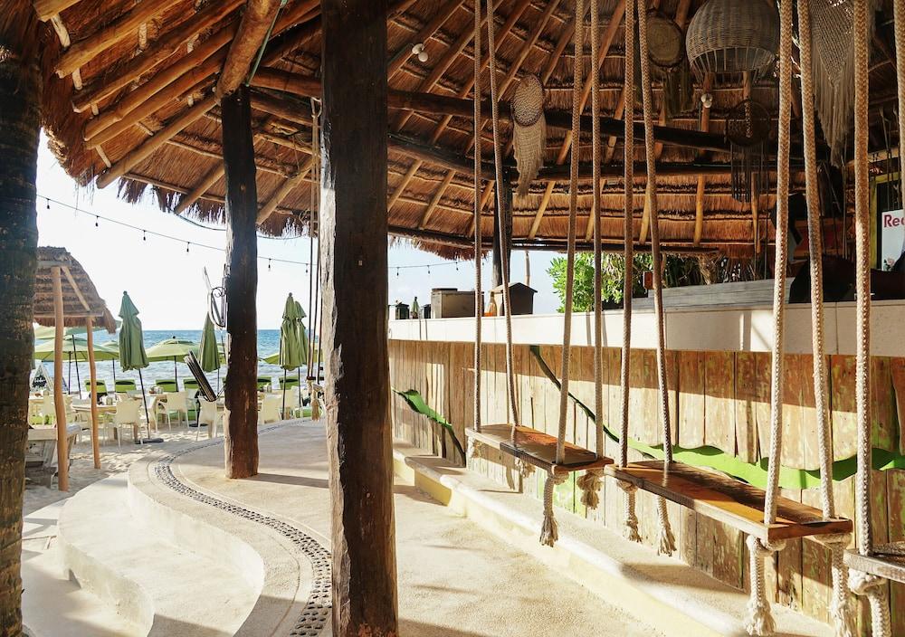 Hotel Casa Colibri Плая дел Кармен Екстериор снимка